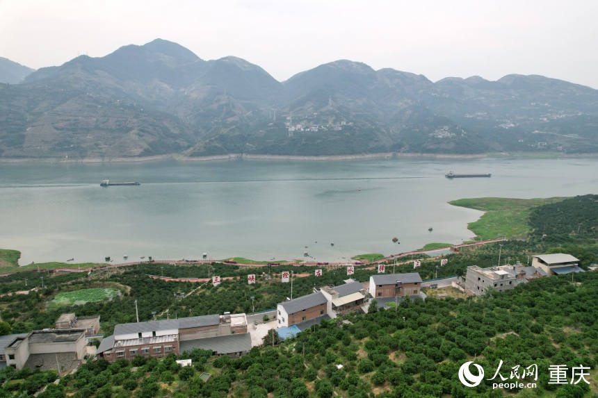 三沱村正以“三峽橙莊”建設(shè)為契機(jī)，描繪鄉(xiāng)村振興新圖景。人民網(wǎng)記者 劉政寧攝