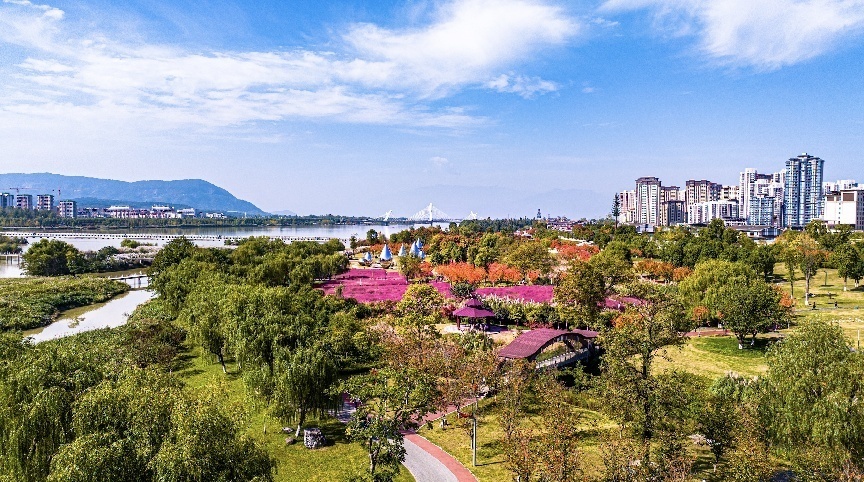 步入公園，仿佛走進(jìn)“色彩的世界”。王淦攝（資料圖片）