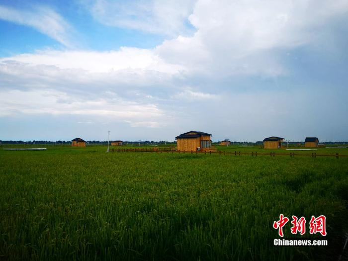 點(diǎn)擊進(jìn)入下一頁