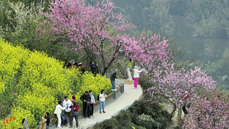 點(diǎn)擊放大
