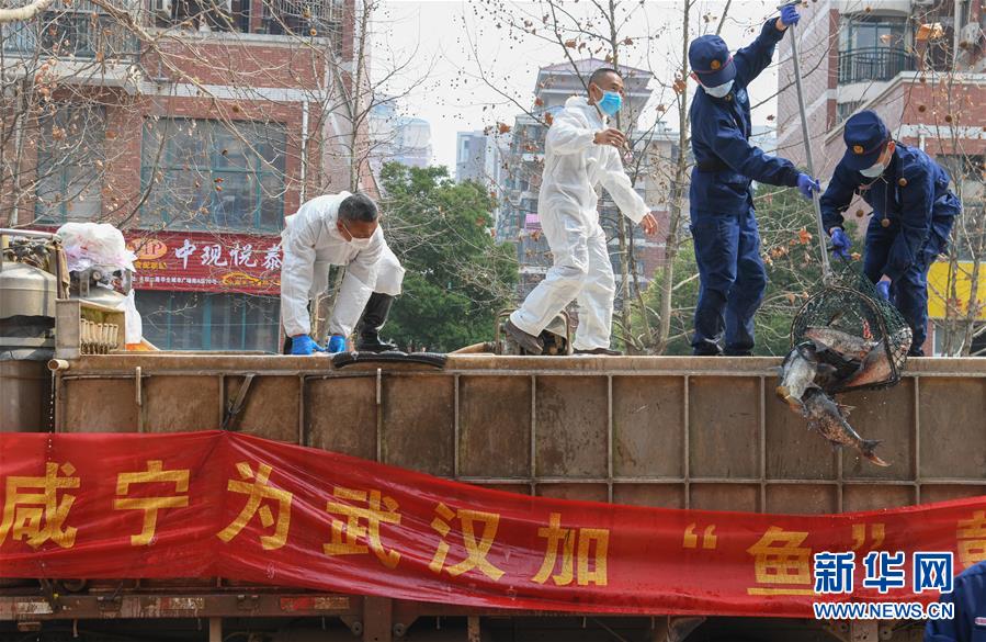 （新華全媒頭條·圖文互動）（12）從人民中汲取磅礴力量——習(xí)近平總書記同出席2020年全國兩會人大代表、政協(xié)委員共商國是紀(jì)實